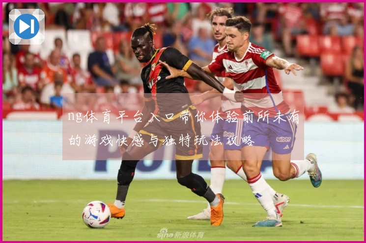 ng体育平台入口带你体验前所未有的游戏快感与独特玩法攻略